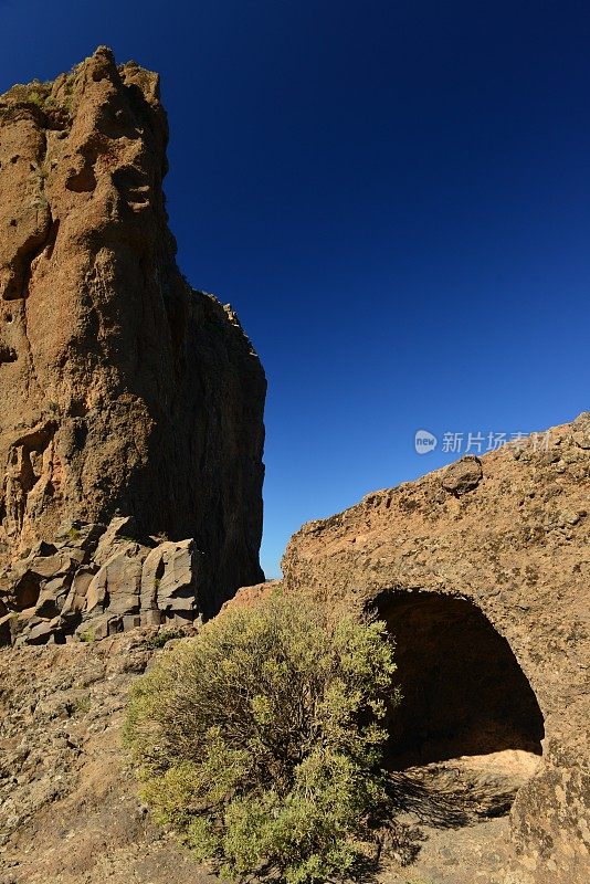 Bentaiga Mt,。奶奶金丝雀，西班牙。